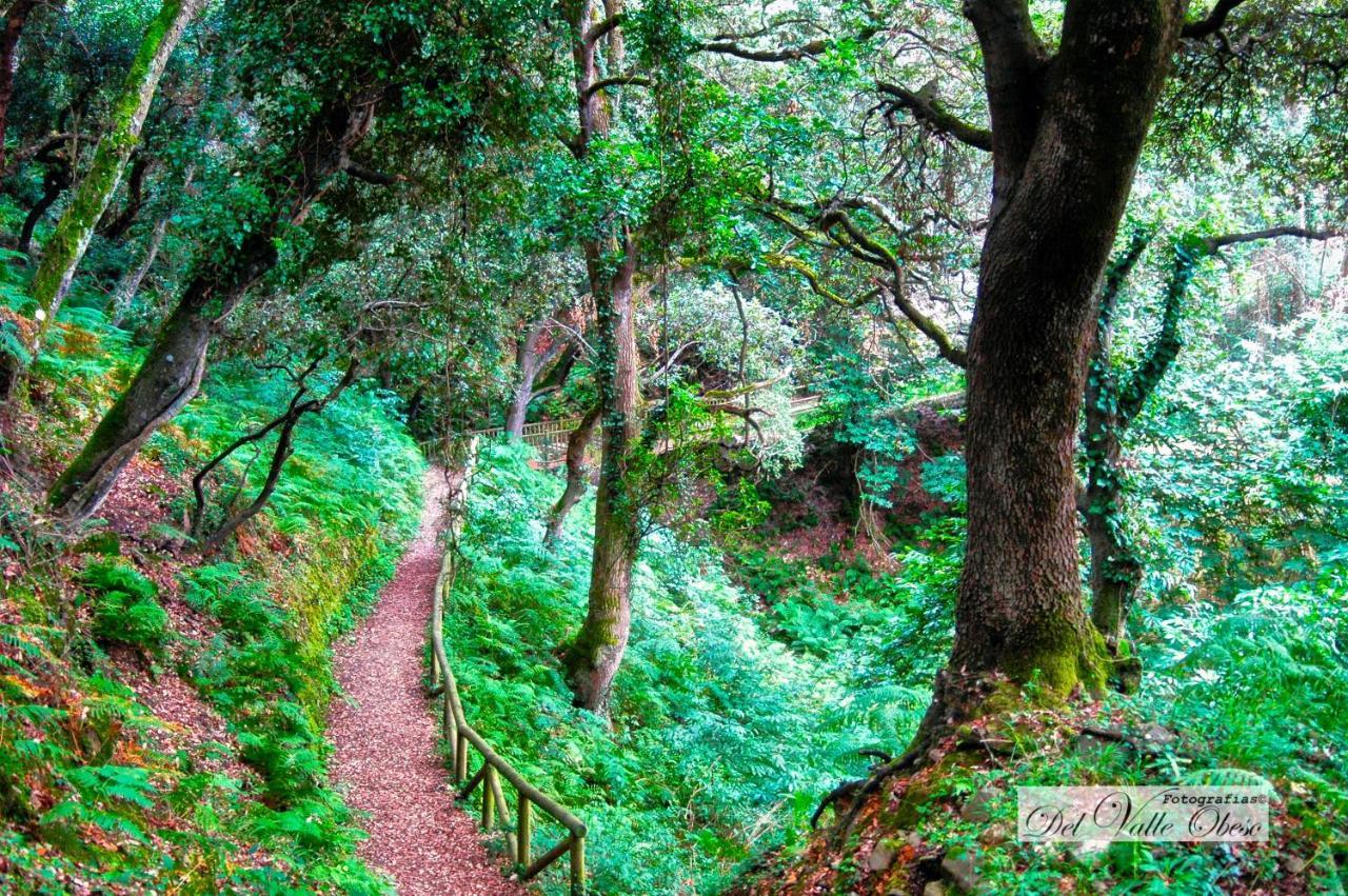 Casa Rural Del Valle Obeso Pimiango エクステリア 写真